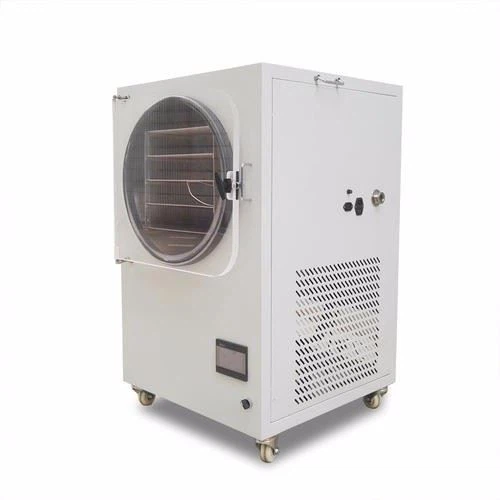 Laboratory Freeze Dryer in China