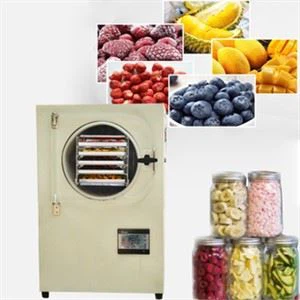 Машина за лиофилизатор Сушилня чрез замразяване Вакуум за храна