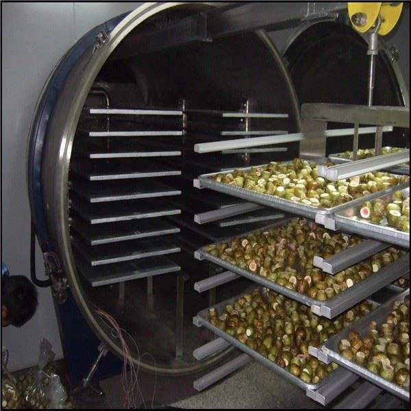  Vacuum Food Freeze Dryer manufacturers