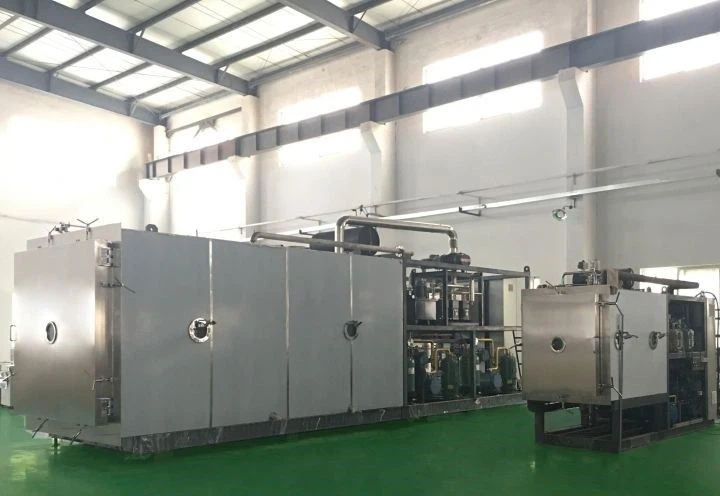 Vacuum Food Freeze Dryer manufacturers
