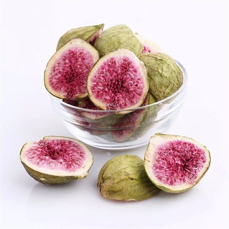 Vacuum Food Freeze Dryer in China